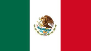 墨西哥商务签-仅操作