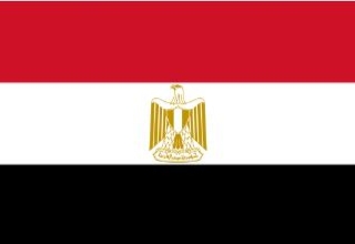 埃及商务签90天单次-贴纸签证