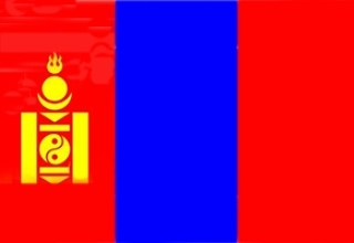 蒙古商务签-简化材料