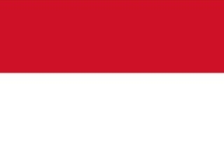 印度尼西亚商务签212一年多次-电子签证
