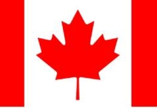 加拿大商务签-不含陪同