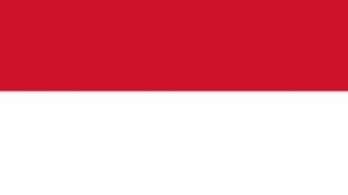 印度尼西亚商务签211B-电子签证