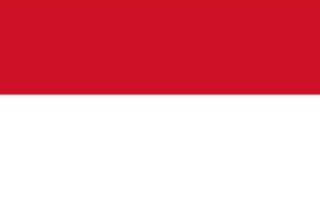 印度尼西亚商务签211B-电子签证