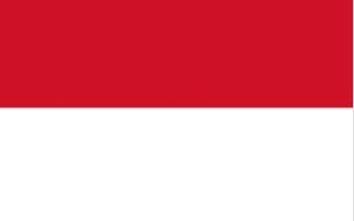 印尼落地签证—旅游电子