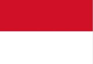 印尼落地签证—旅游电子