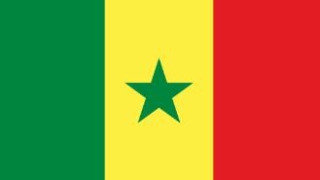 塞内加尔商务签-全国受理-价格现询