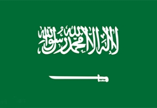 沙特商务签-贴纸签证-一年多次-简化材料（男性）