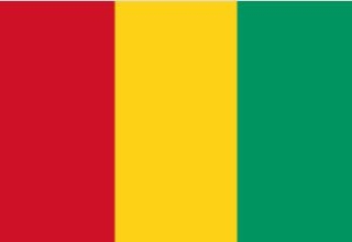 几内亚商务电子签-拒签全退-价格现询