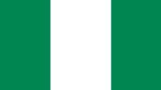 尼日利亚商务签-电子签证-价格现询