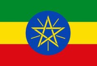 埃塞俄比亚旅游签-电子签证