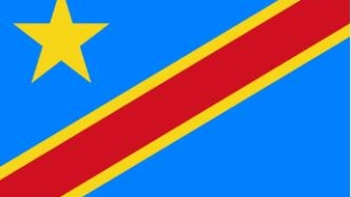 刚果金商务签-一个月单次-全国受理-拒签全退