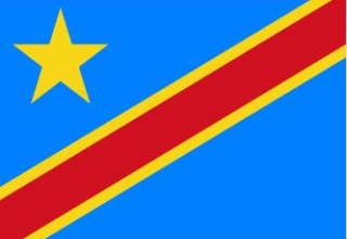 刚果金商务签-一个月单次-全国受理-拒签全退